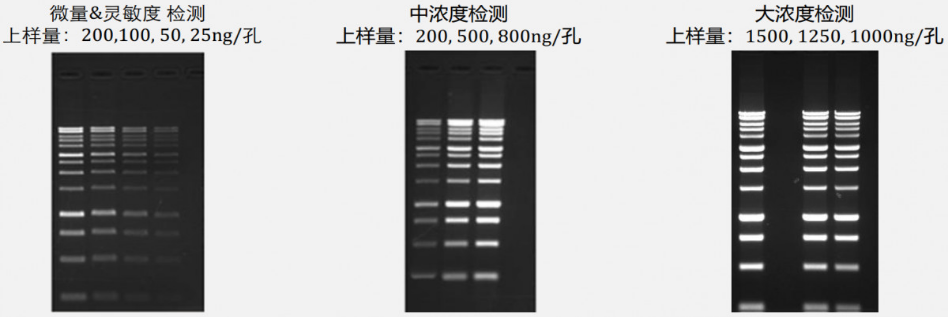 5dfc6ad0c9509.png image.png