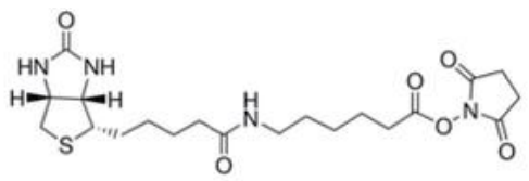 5f30f8f2af51c.png image.png