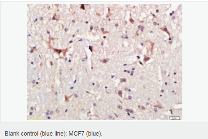 6052ada24c468.png image.png