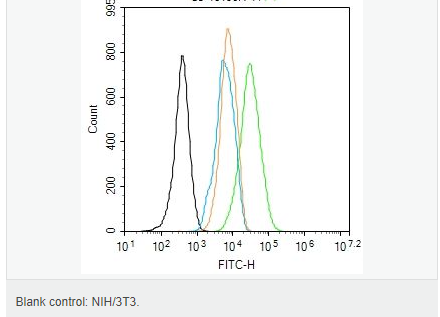 6052aed995643.png image.png