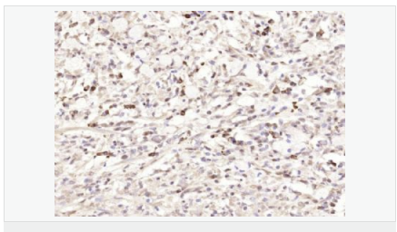 6052c276cc484.png image.png