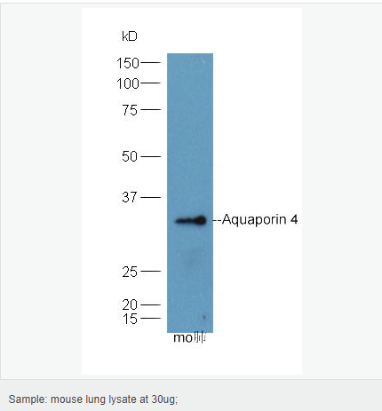 605446fa83fed.png image.png