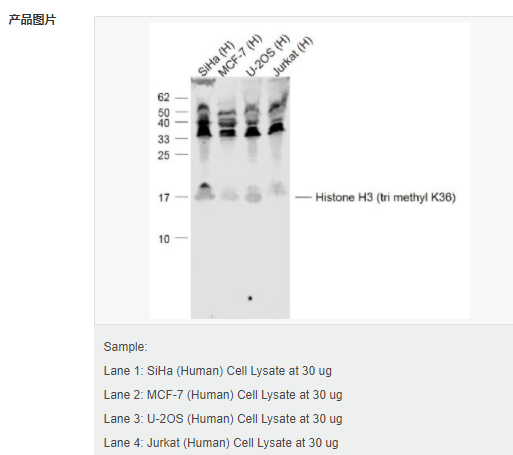 60544cbf04924.png image.png