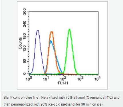 60544d7c34101.png image.png