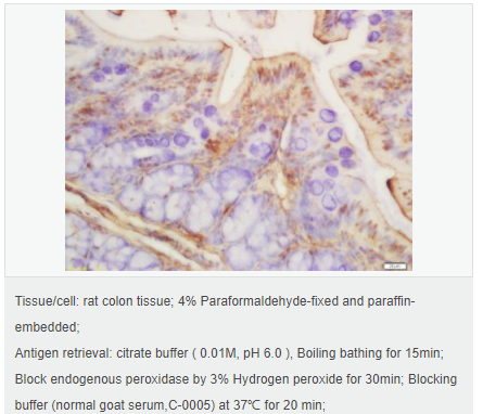 60544e7755808.png image.png