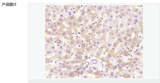 6057f012dfee2.png image.png