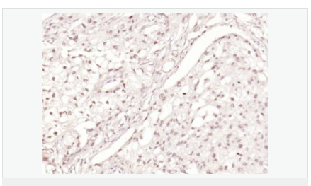 60580119deff7.png image.png