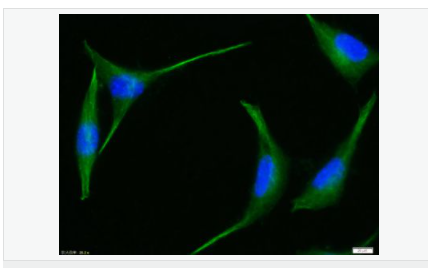 605840ef72cee.png image.png