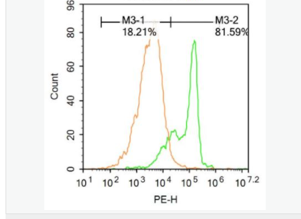 60584302d43b5.png image.png