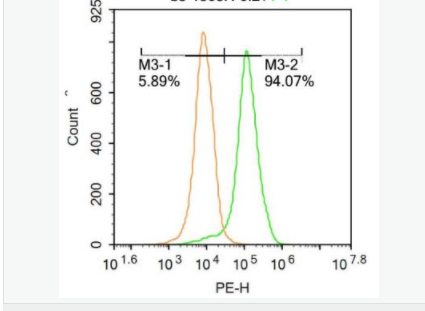 60584dd2af795.png image.png