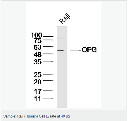 605943a4e2c34.png image.png