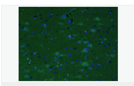 605953714b5cd.png image.png