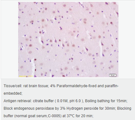 605957fbbea73.png image.png