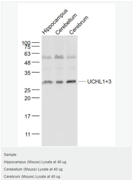 6059613a82fe8.png image.png