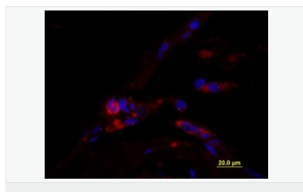 605c3a14f218c.png image.png