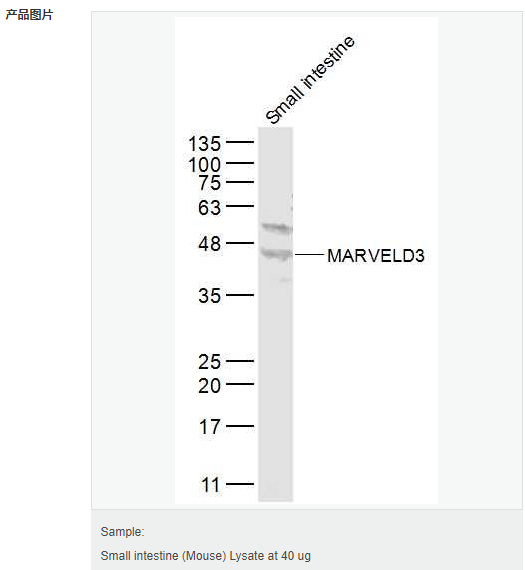 605c3d74d9641.png image.png