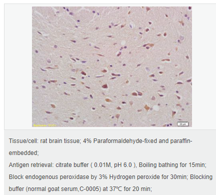 605c4839520f1.png image.png