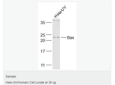 605da172e6d9d.png image.png