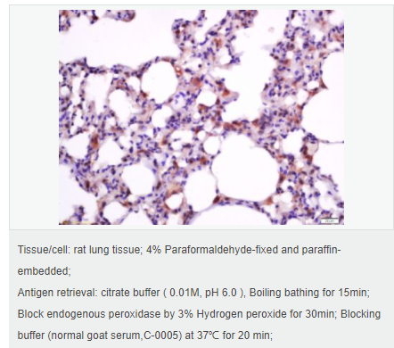 605da19d156b1.png image.png