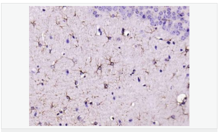 60612beec63ca.png image.png