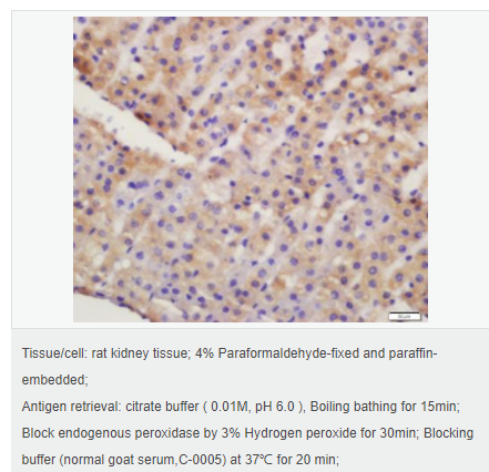 60612ccaf3d9b.png image.png