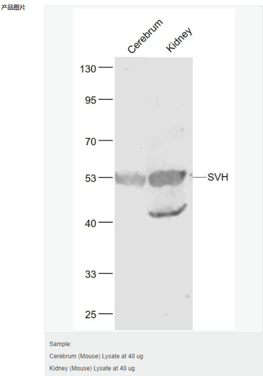 6063e4dfbae69.png image.png