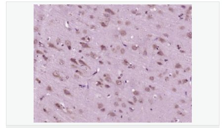 606570ff4bc66.png image.png