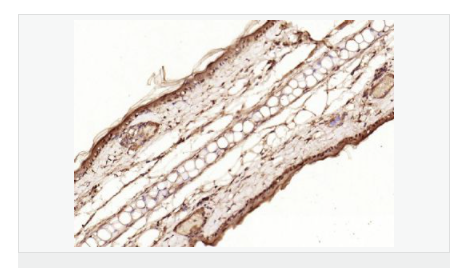 6066794f60beb.png image.png