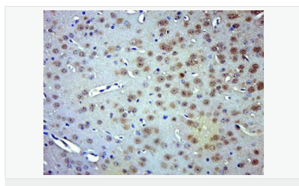 6066796b89cfa.png image.png