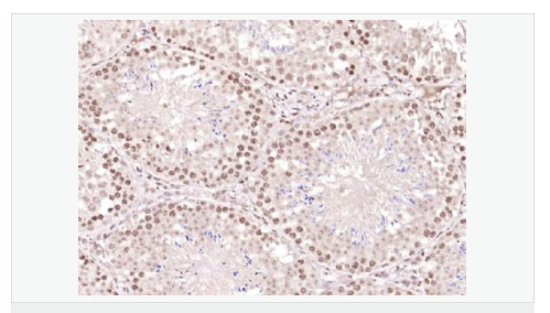 6066ba771e5ca.png image.png