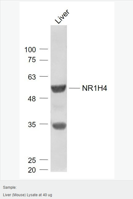 6066c8fa793e6.png image.png