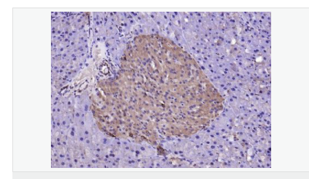 6066d45f05759.png image.png