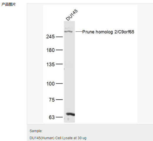 606bc83baf9a0.png image.png