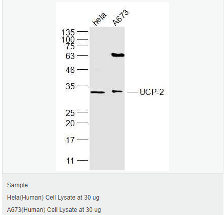 606bccad6a6c4.png image.png