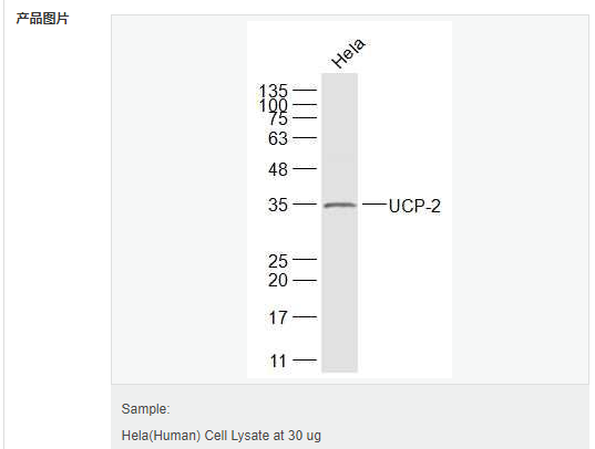 606bccf37a56c.png image.png