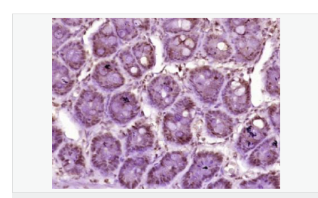 607651f56c081.png image.png