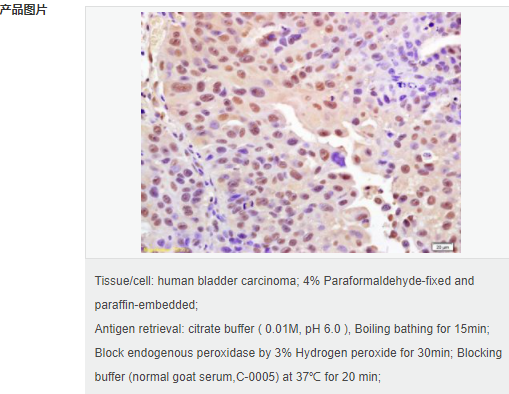 60765327975d2.png image.png