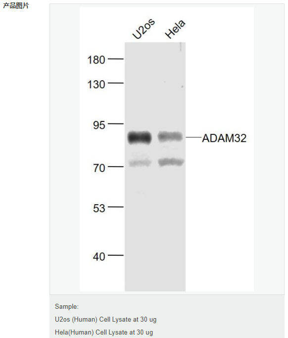 60769ae5d7134.png image.png