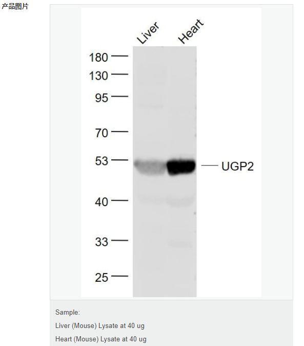 6077d9be28be1.png image.png