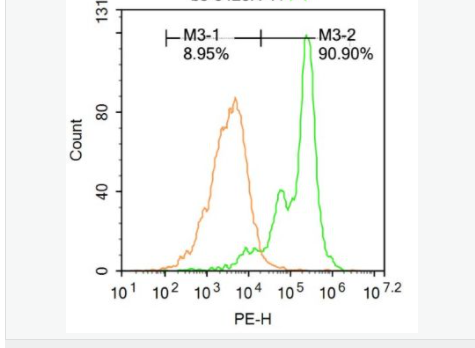 6078ee2e5f6e0.png image.png