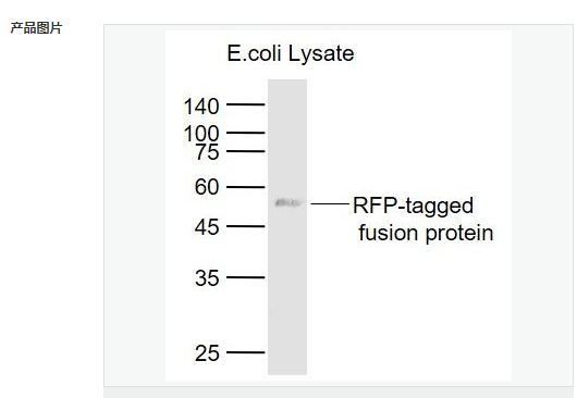 607d1ec125ce8.png image.png