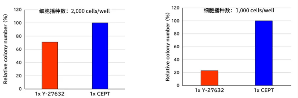 672b30ac3f2e5.png image.png