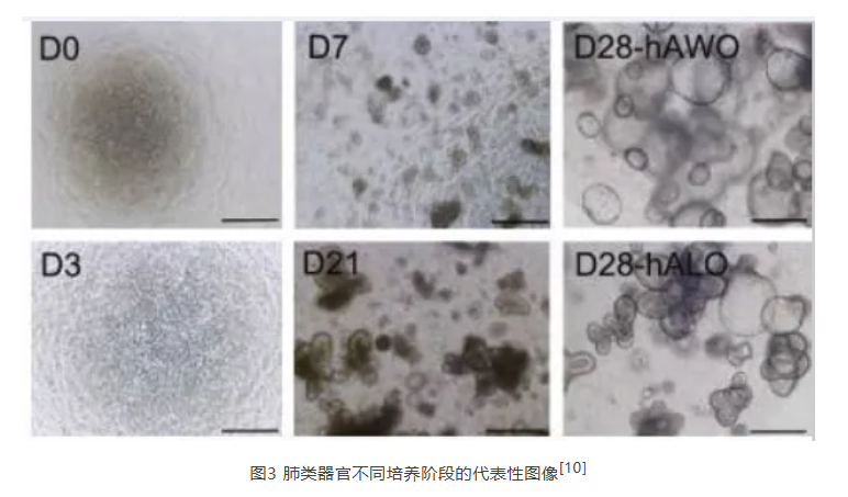 675b8e282b612.png image.png