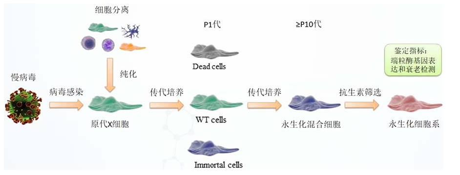 68ea0ee23bbf9.png image.png